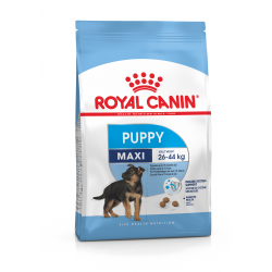 Royal Canin maxi - Puppy