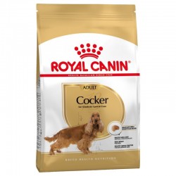 Royal Canin Cocker - adulte...