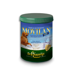 MovilanDog